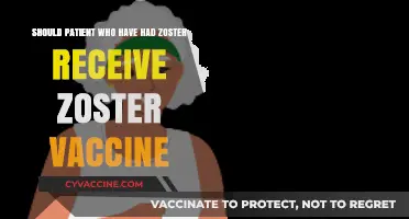 Should Zoster Vaccine Be Given to Patients with Prior Shingles?