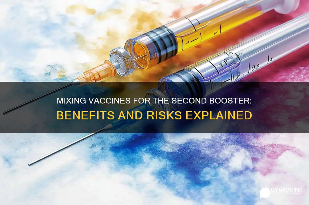 should the 2nd booster be a different vaccine