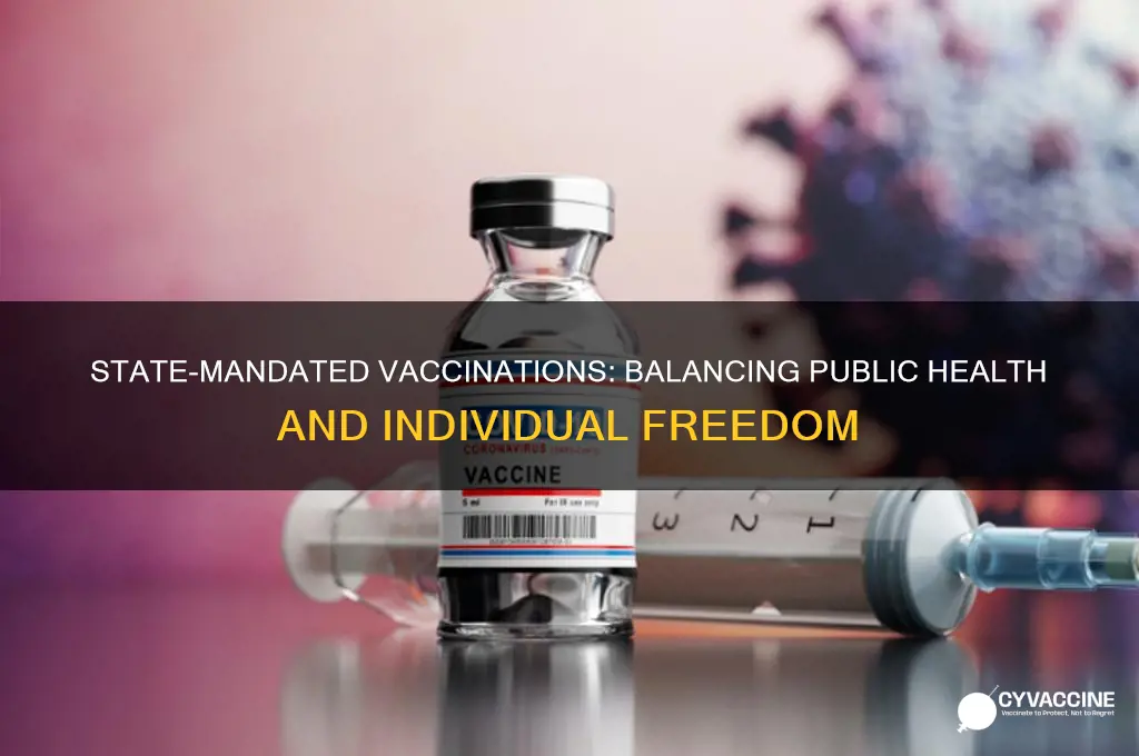 should the state be able to force vaccinations