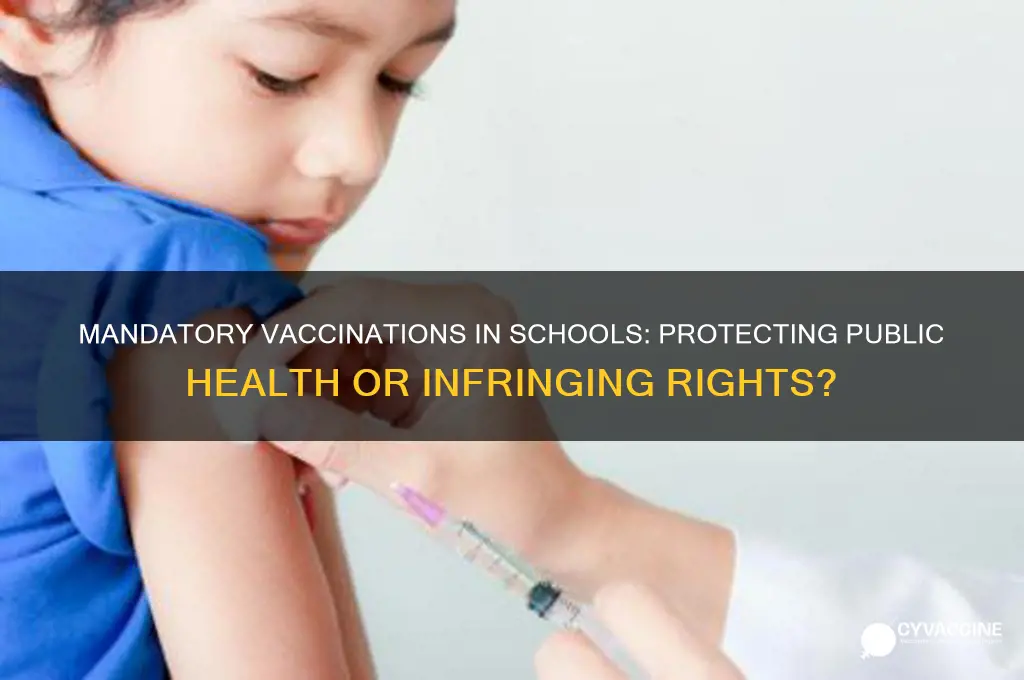 should vaccinations be mandatory in school argumentative essay