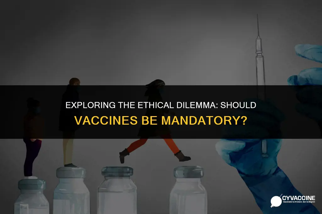 should vaccines be mandatory ethics essay