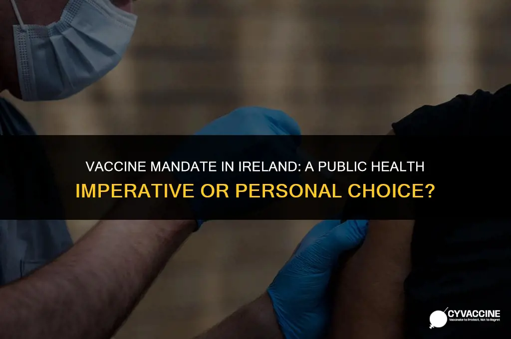 should vaccines be mandatory in ireland