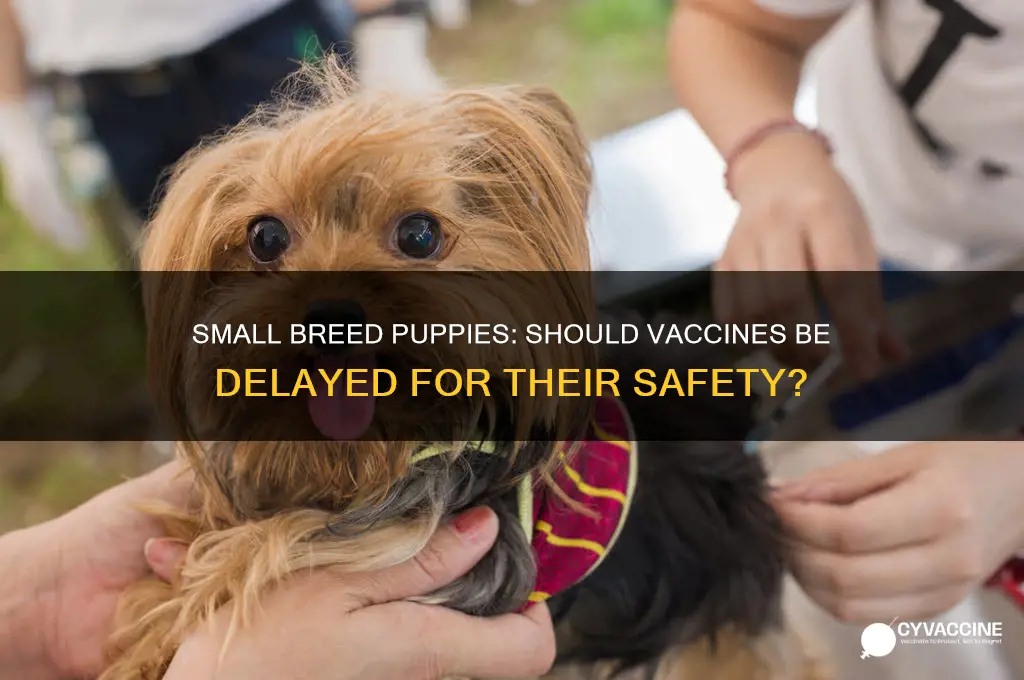 should vaccines be put off for small breed puppies