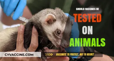 Exploring the Ethics: Animal Testing in Vaccine Development