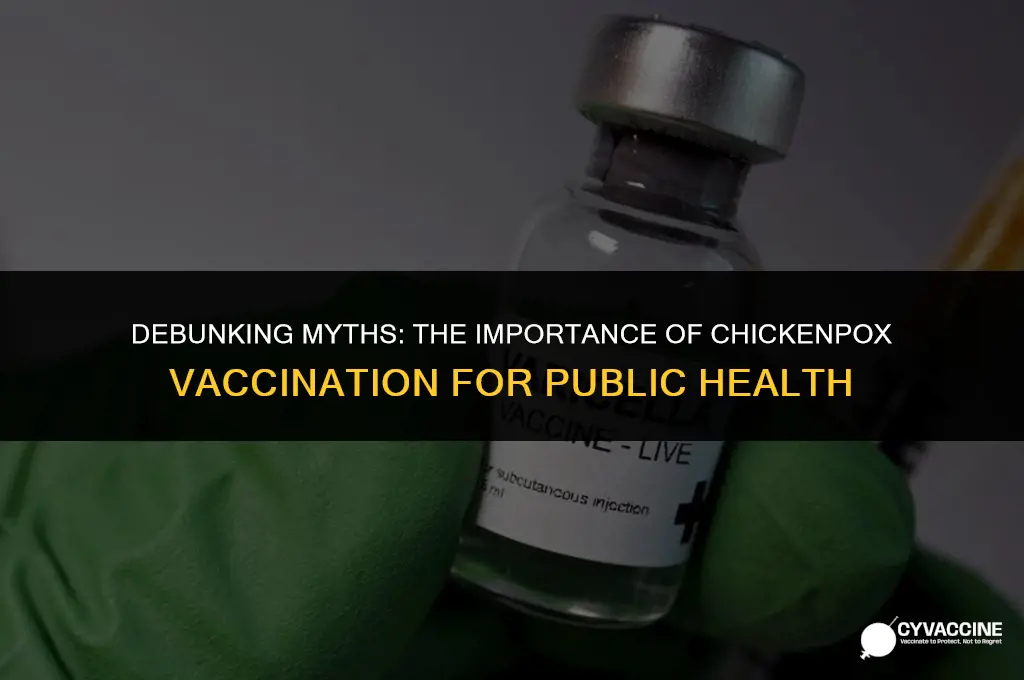 should we vaccinate against chicken pox