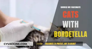 Feline Health Debate: To Vaccinate or Not Against Bordetella?