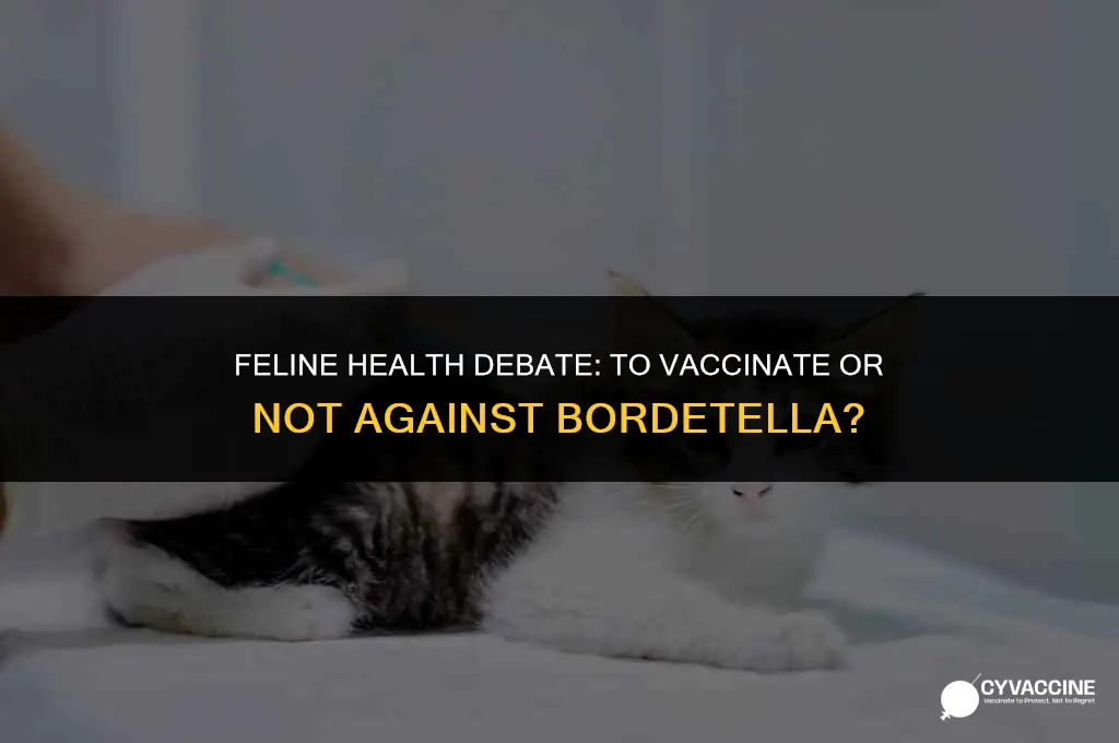 should we vaccinate cats with bordetella