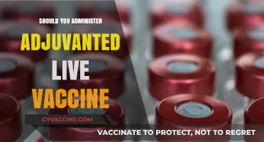 Boosting Immunity: The Benefits and Considerations of Adjuvanted Live Vaccines