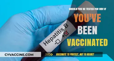 HBV Testing After Vaccination: Is It Necessary for You?