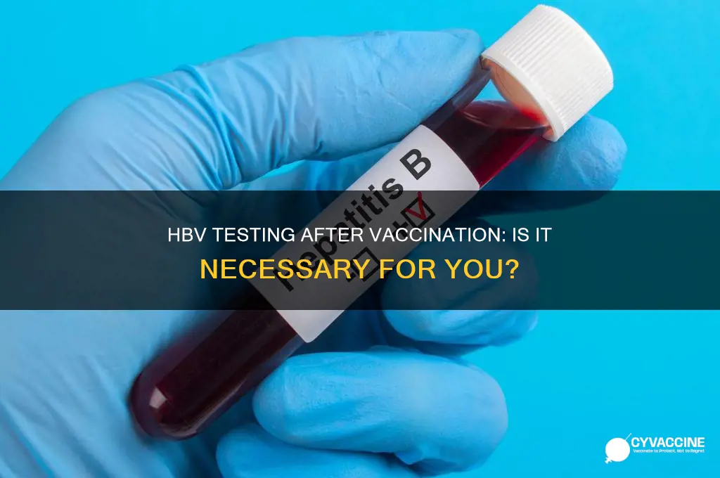 should you be tested for hbv if you