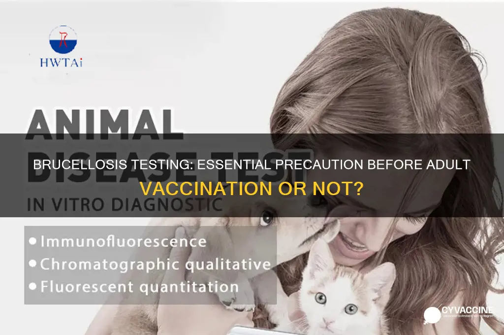 should you brucelosis test prior to adult vaccination