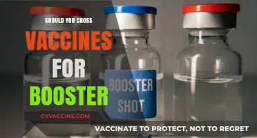 Boosting Immunity: The Debate on Mixing Vaccines for Enhanced Protection