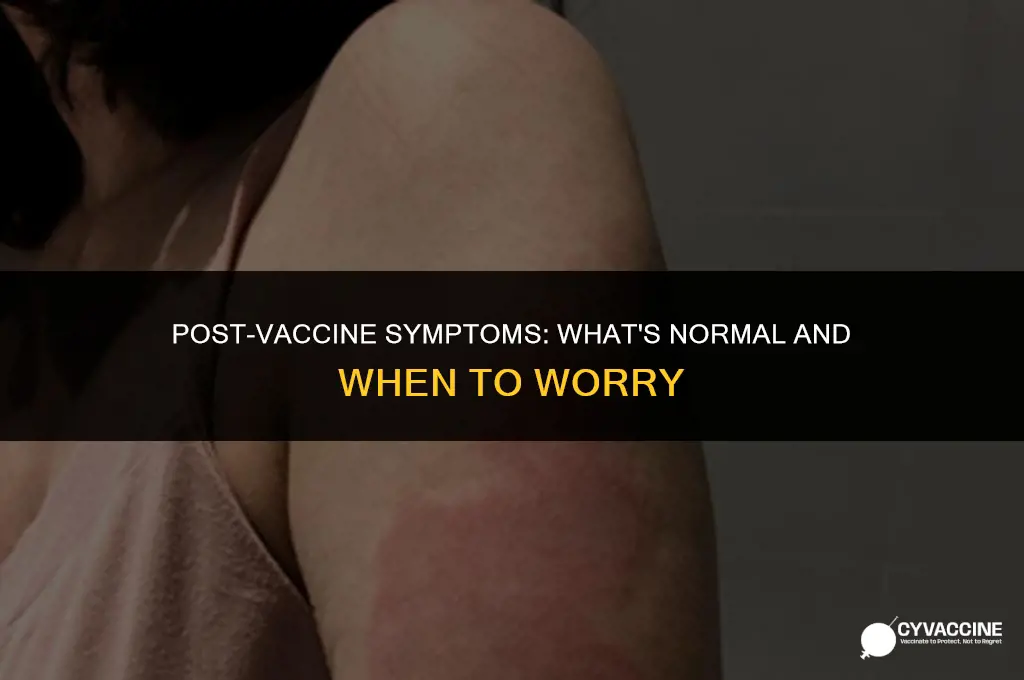 should you feel sick after vaccine