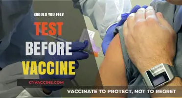 Debunking Myths: The Truth About COVID-19 Vaccine Testing