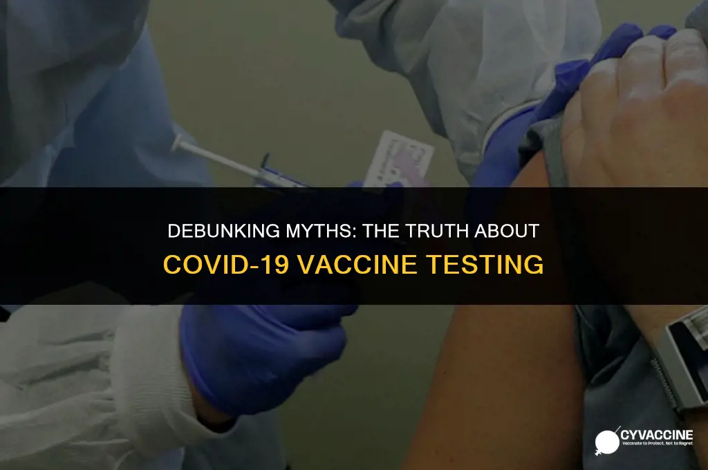 should you felv test before vaccine