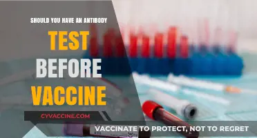 Antibody Test Before Vaccination: Is It Necessary or Beneficial?