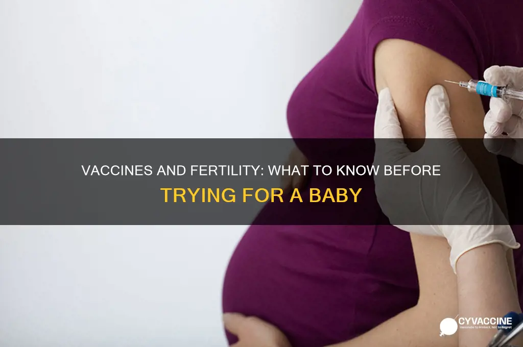 should you have the vaccine if trying for a baby