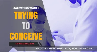 Vaccines and Fertility: What to Know Before Trying to Conceive