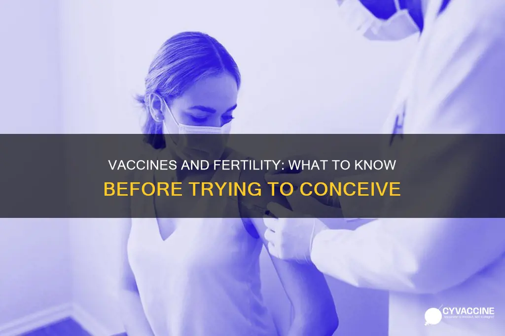 should you have vaccine if trying to conceive