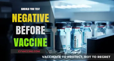 Decoding Vaccine Safety: The Truth About Testing Negative Before Vaccination