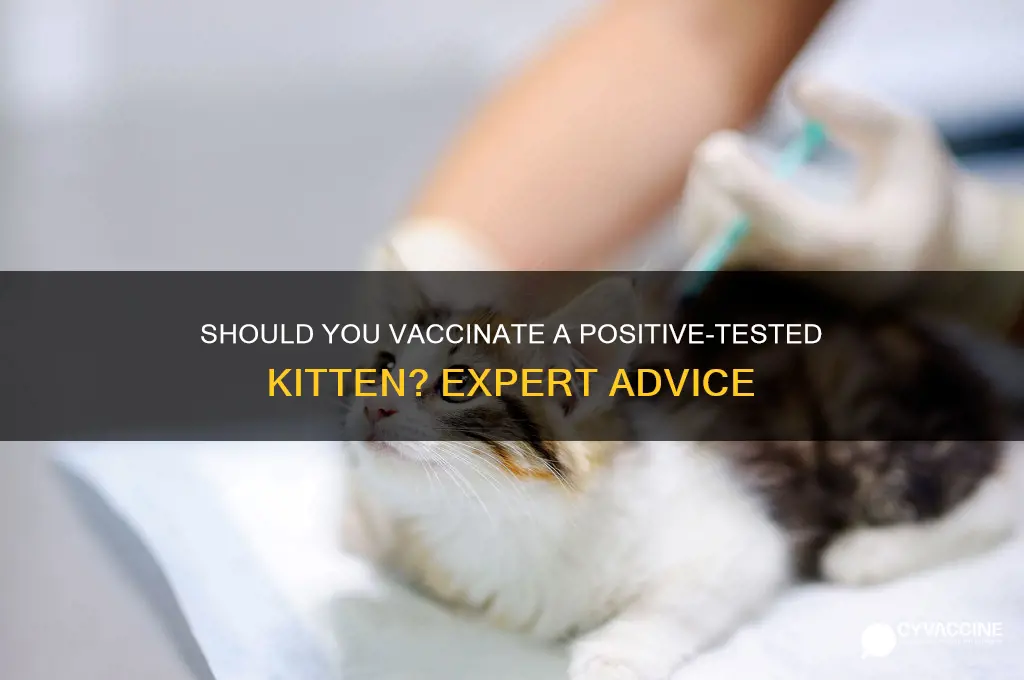 should you vaccinate a kitten who had positive