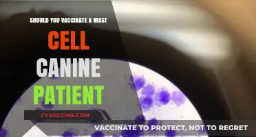 Vaccinating Mast Cell Tumor Dogs: Risks, Benefits, and Expert Advice
