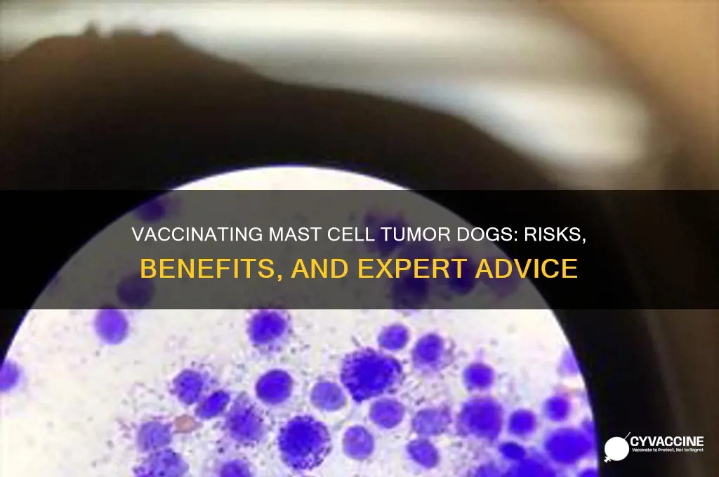 should you vaccinate a mast cell canine patient