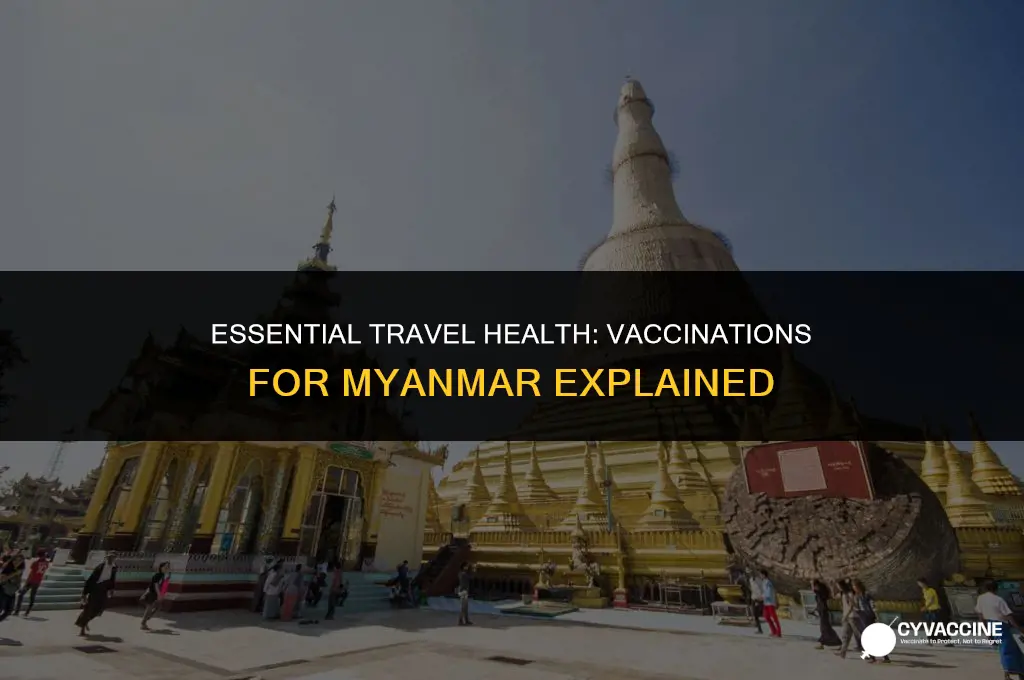 should you vaccinate before visiting myanmar
