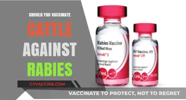 Protecting Livestock: The Importance of Rabies Vaccination in Cattle