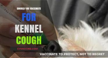 Protecting Your Pup: The Kennel Cough Vaccination Dilemma
