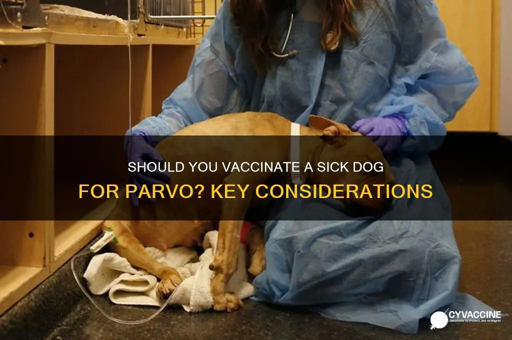 should you vaccinate for parvo if they are sick