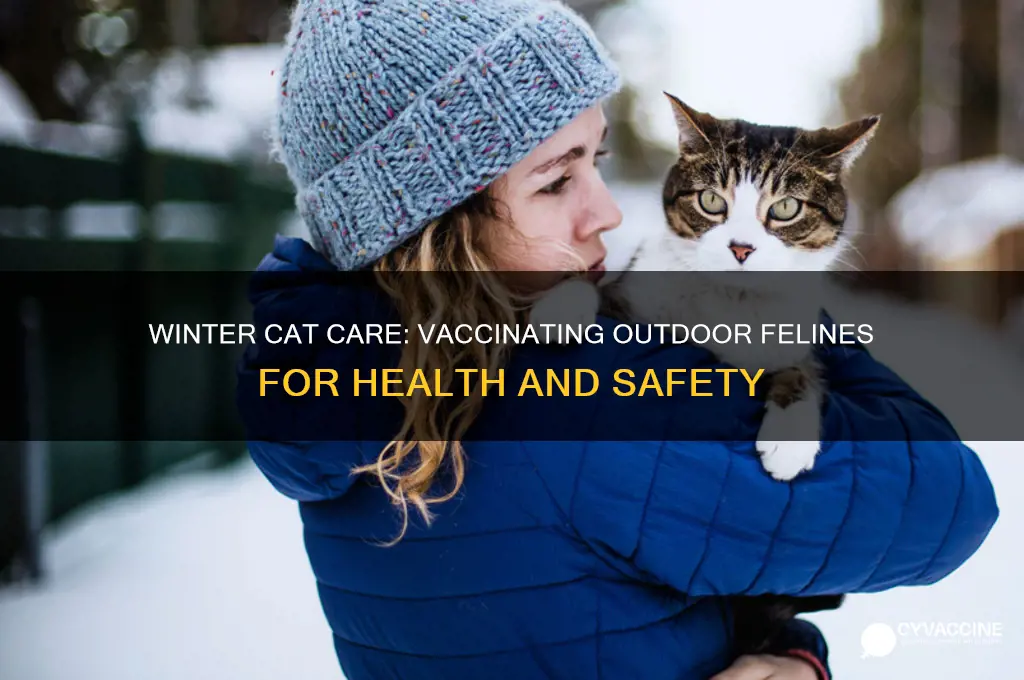 should you vaccinate outdoor cats in the winter