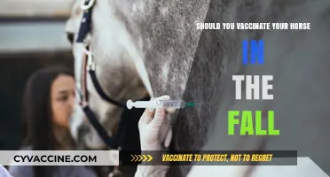 Fall Horse Vaccinations: Essential Timing for Equine Health Protection