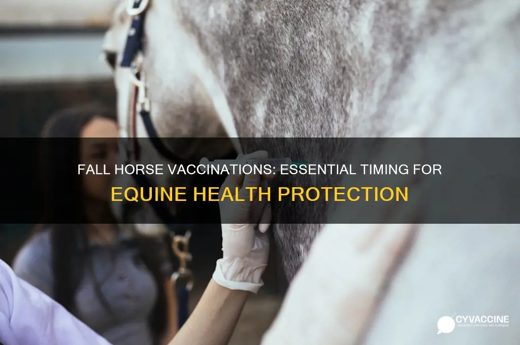 should you vaccinate your horse in the fall