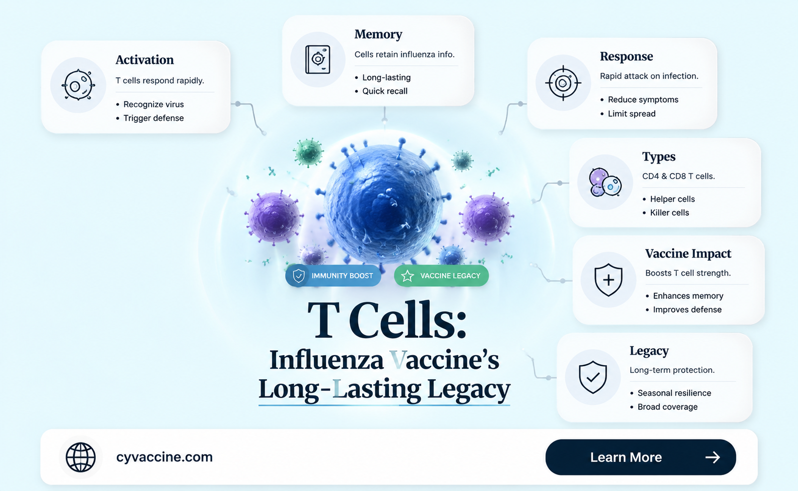 are t cells present 6 months after influenza vaccine