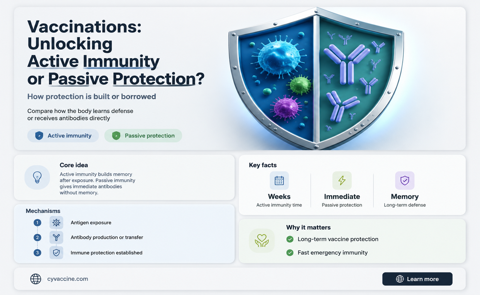 are vaccinations passive or active immunity