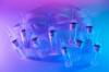 vaccine other