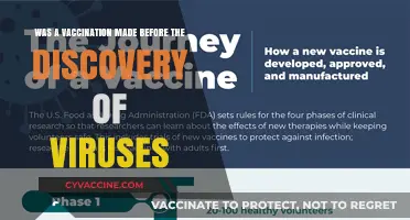 Vaccines Before Viruses: The Surprising History of Immunization