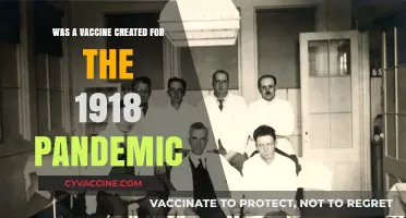 Did the 1918 Pandemic Spark a Vaccine Development Effort?