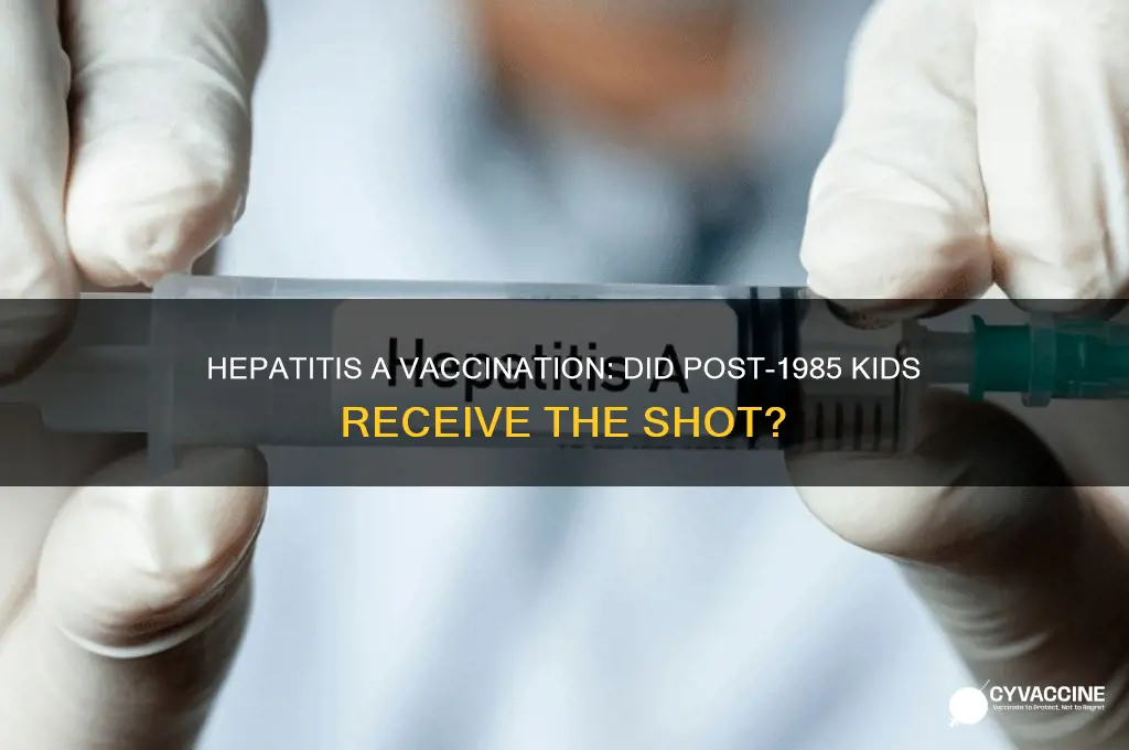 was childern born after 1985 receive hep a vaccine