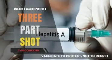 Hepatitis A Vaccine: Was It Included in the Three-Part Shot?