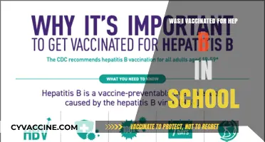 Did I Receive the Hepatitis B Vaccine in School?