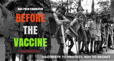 Polio Eradication: Did the Vaccine Come Too Late?
