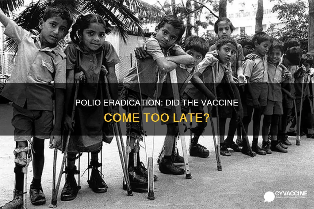 was polio eradicated before the vaccine