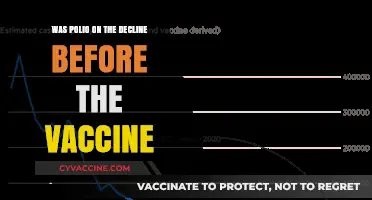 Polio's Decline: Pre-Vaccine Trends and Historical Insights Revealed