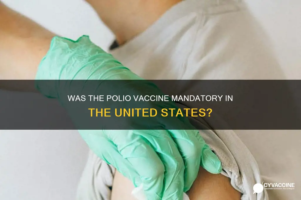 was polio vaccine mandatory in the united states