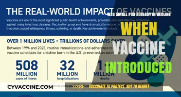 Smallpox Decline: Was the Vaccine a Turning Point or Coincidence?