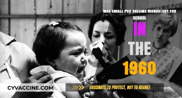 Was the Smallpox Vaccine Required for School in the 1960s?