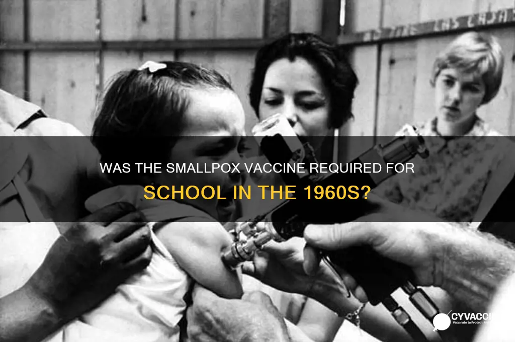 was small pox vaccine mandatory for school in the 1960