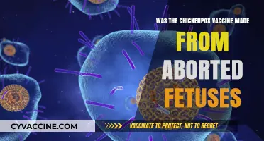 Chickenpox Vaccine and Aborted Fetal Cells: Separating Fact from Fiction